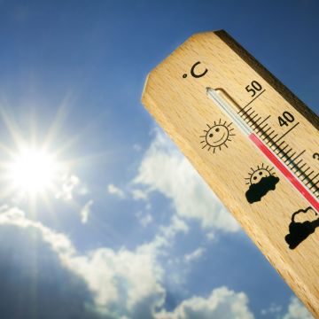 PLAN CANICULE MUNICIPAL