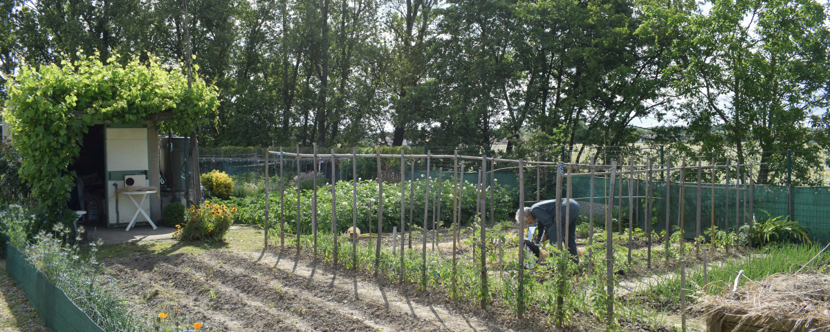 Jardins familiaux