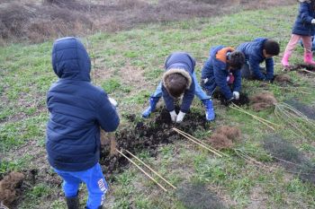 Plantation d'arbres par le centre de loisir
