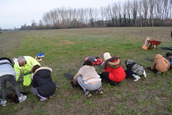 Plantation d'arbres par le centre de loisir